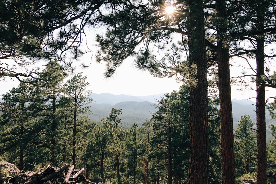 The Art of Slow Travel: Embracing the Journey Beyond the Destination The Art of Slow Travel: Embracing the Journey Beyond the Destination